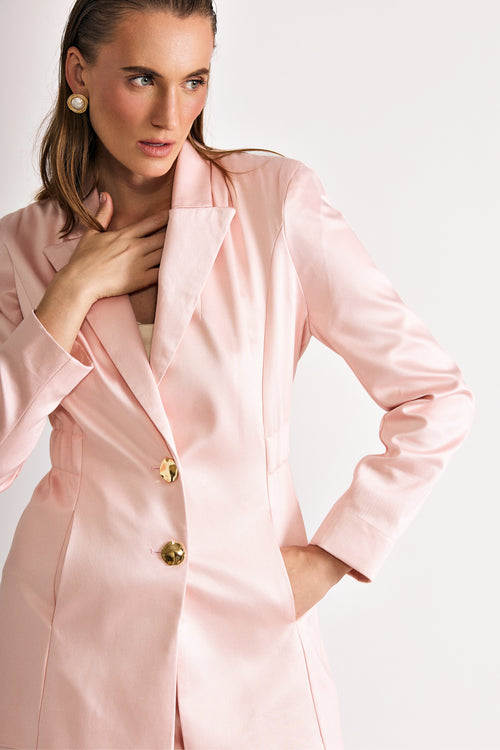 Blazer Downtown